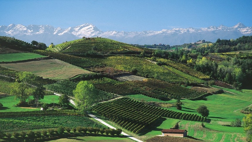 wine-tour-langhe-vet-dmc.jpg