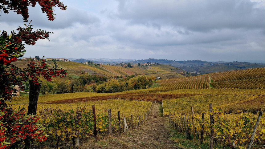 Incentivereise Piemont